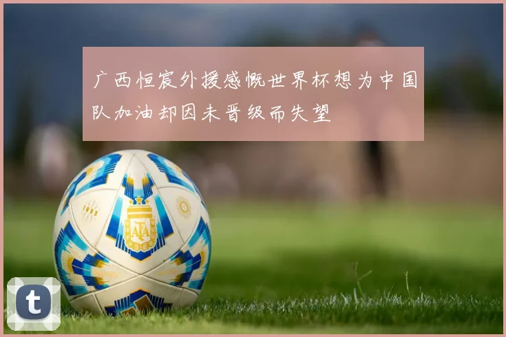广西恒宸外援感慨世界杯想为中国队加油却因未晋级而失望